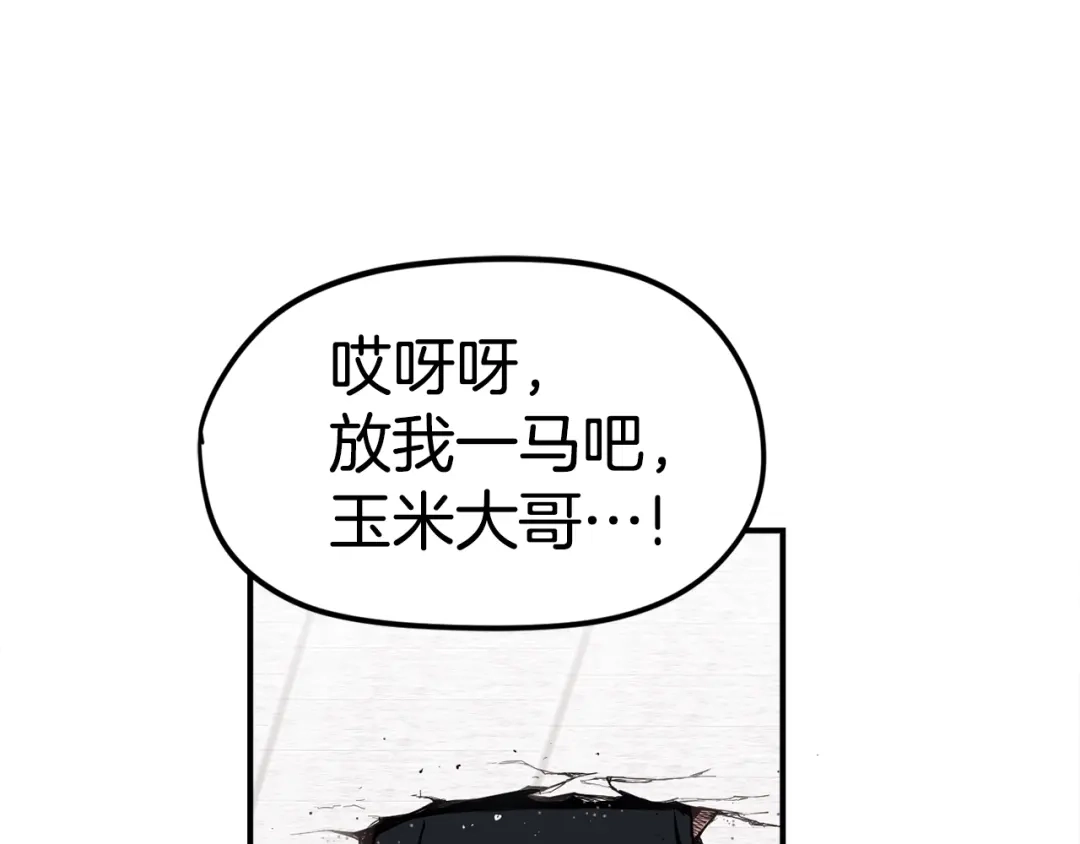 第237页
