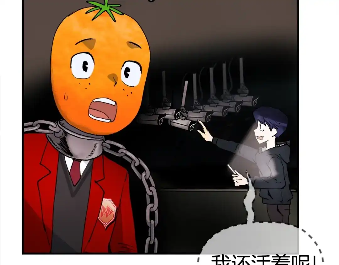 第278页