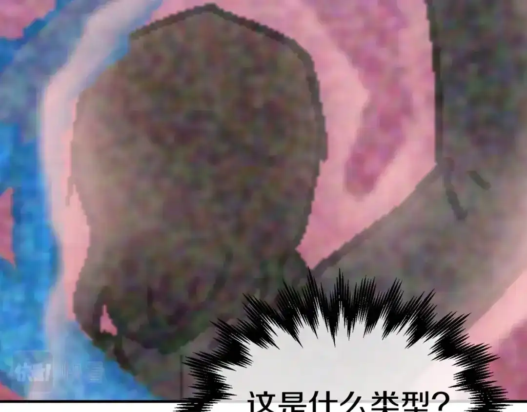 第229页