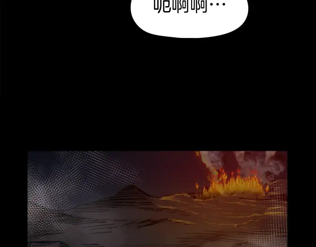 第229页