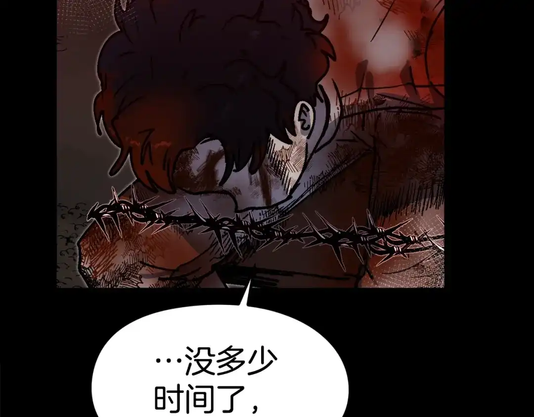 第241页