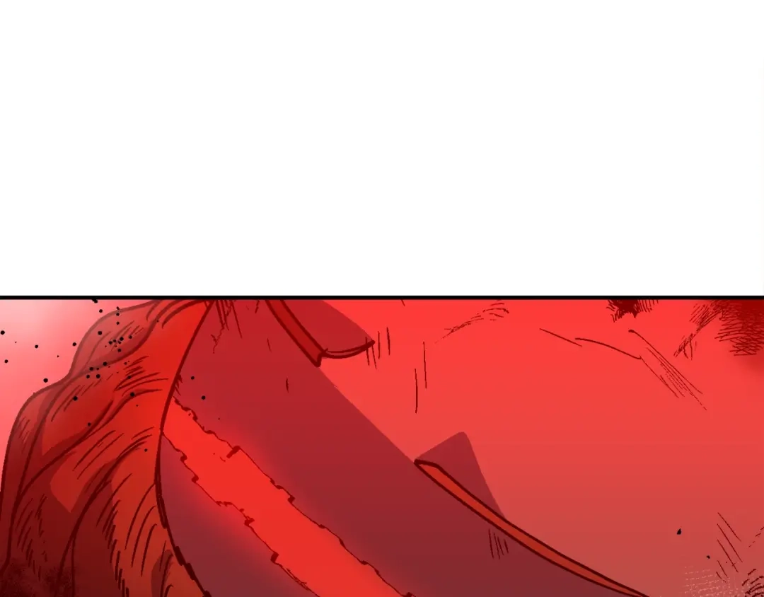 第215页