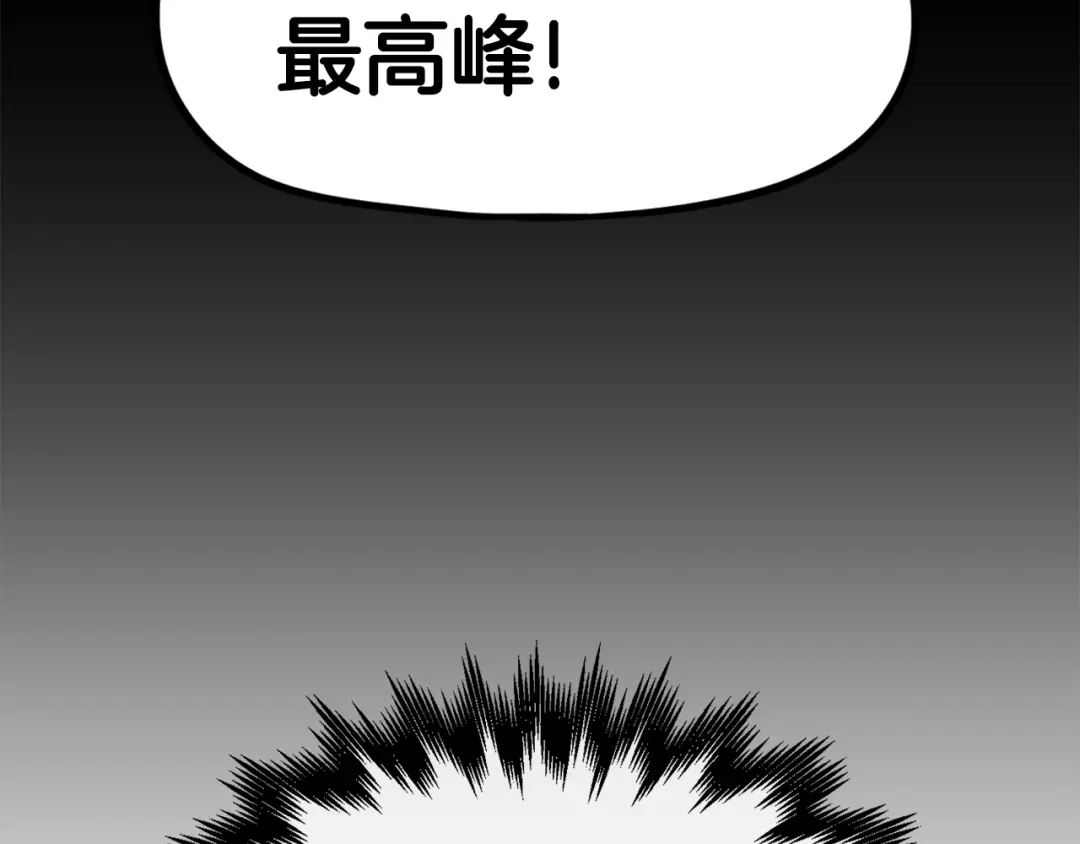 第224页
