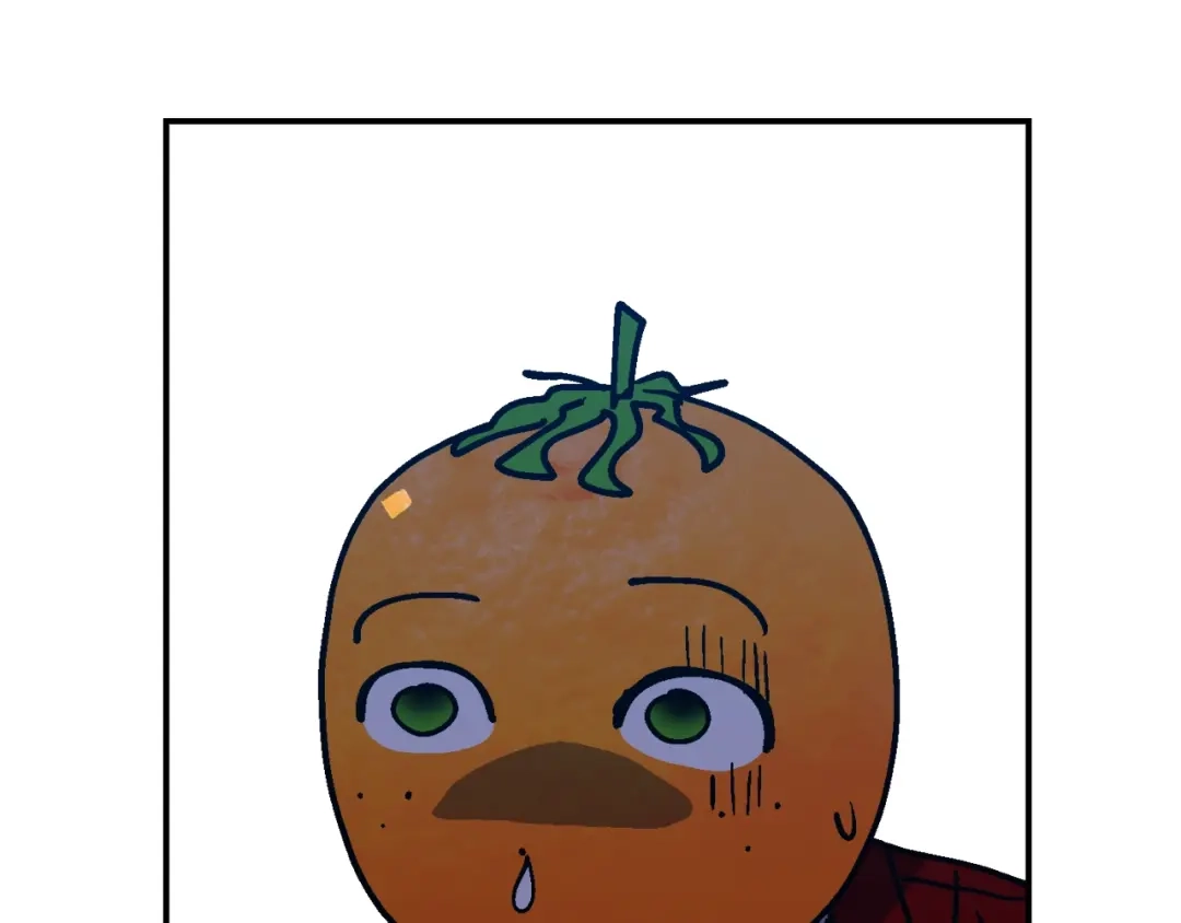 第228页