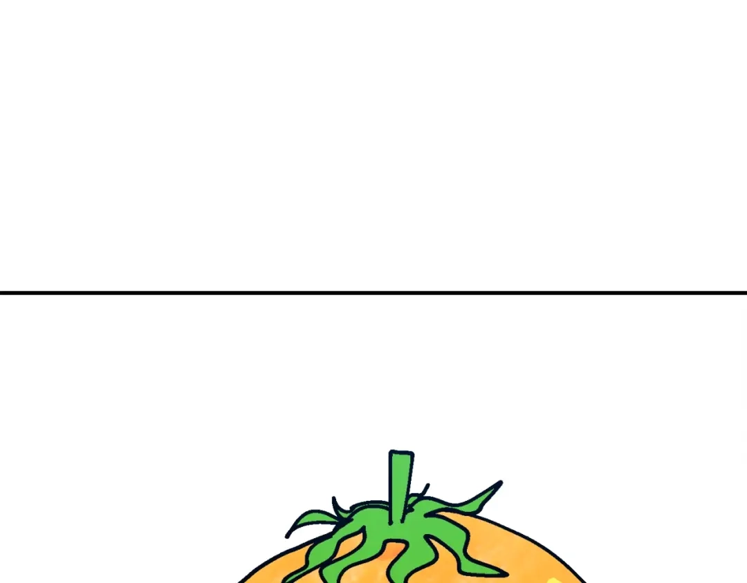 第260页