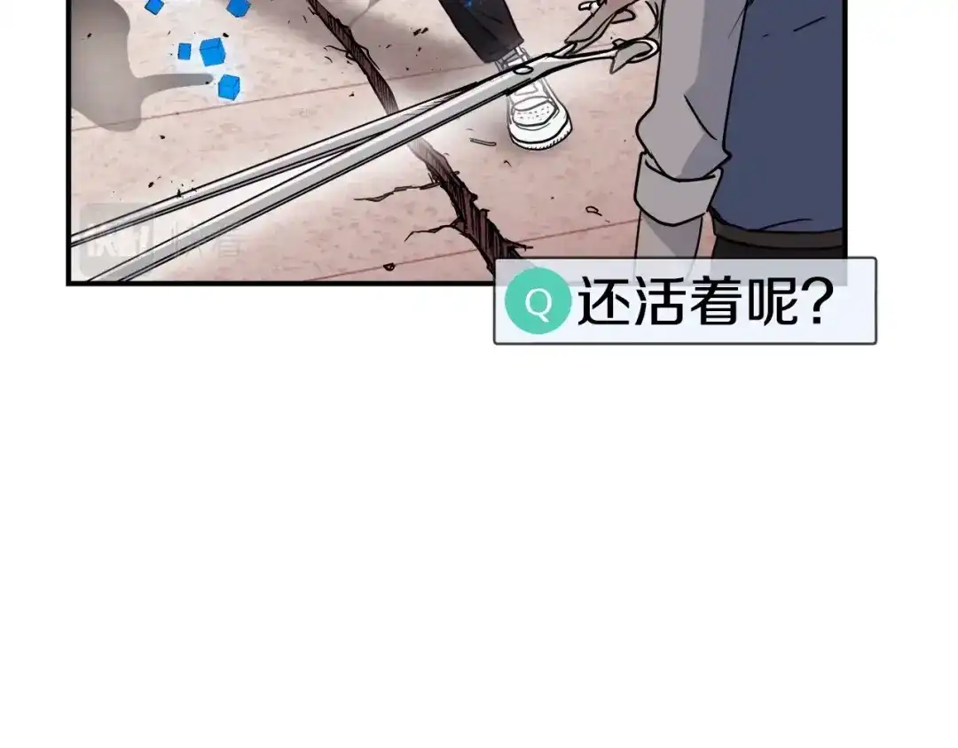 第243页