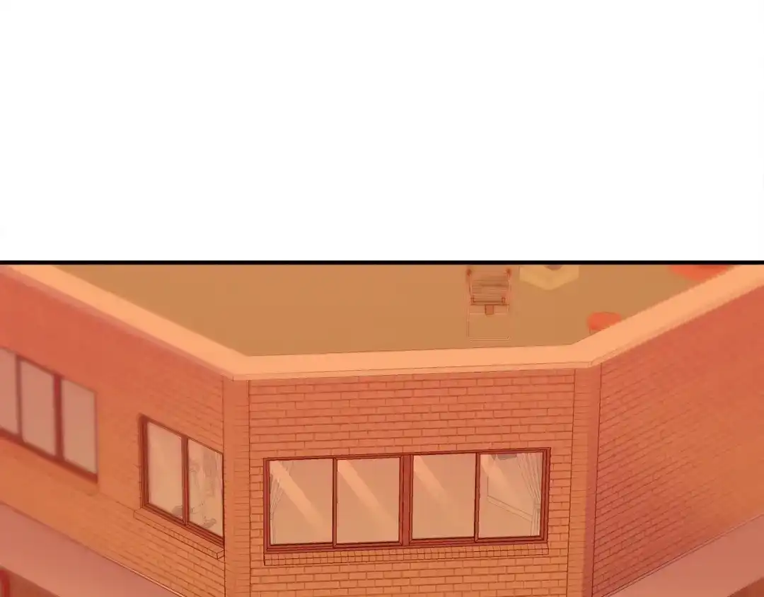第223页