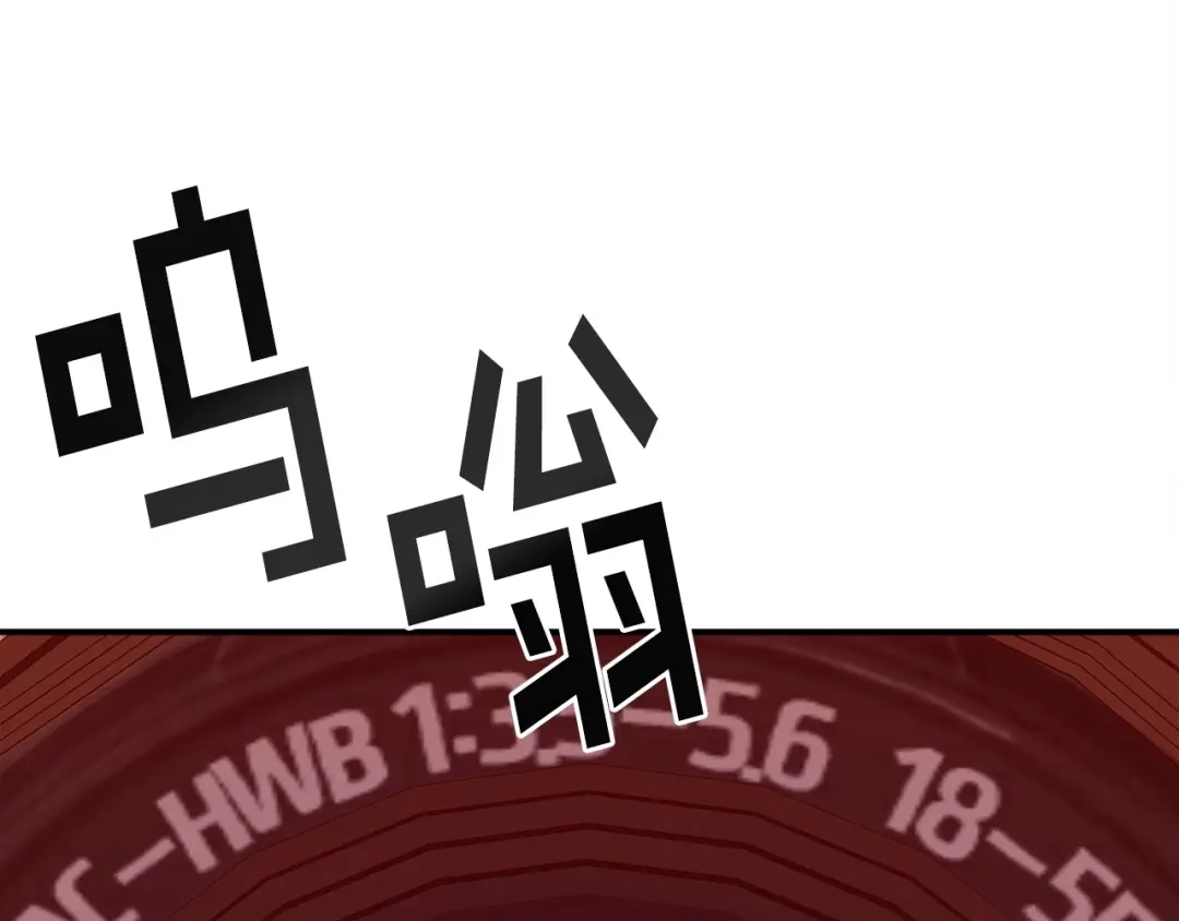 第231页