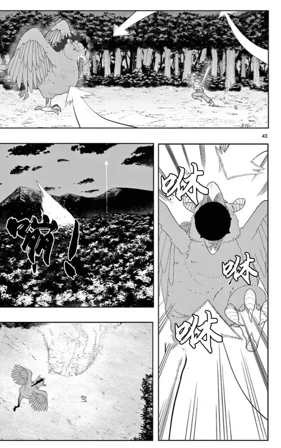 第43页