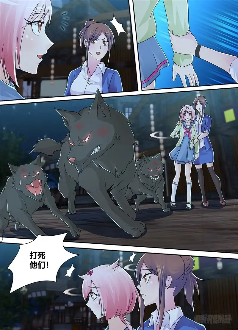 第5页