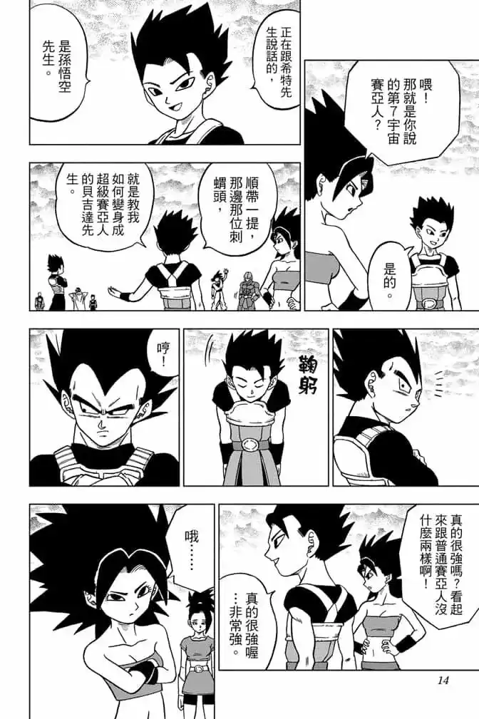 第13页