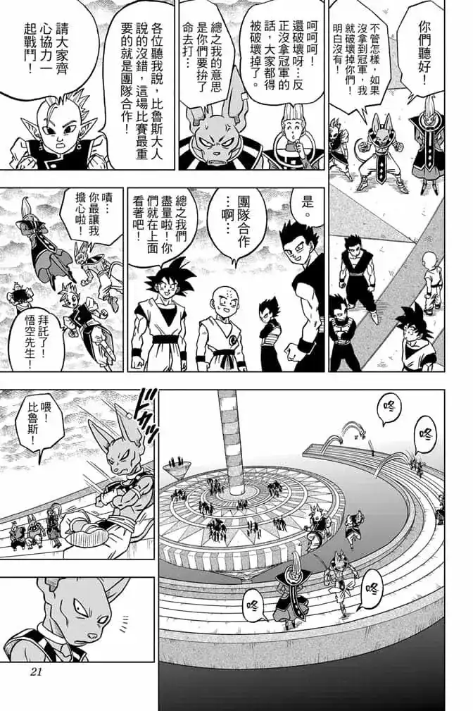 第20页
