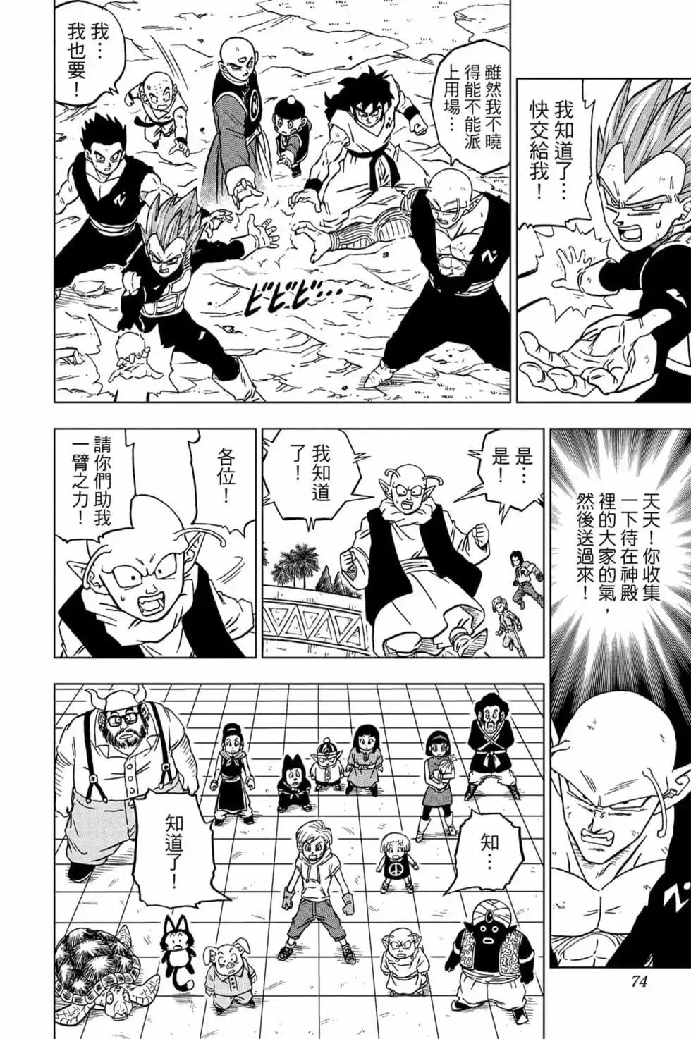 第73页