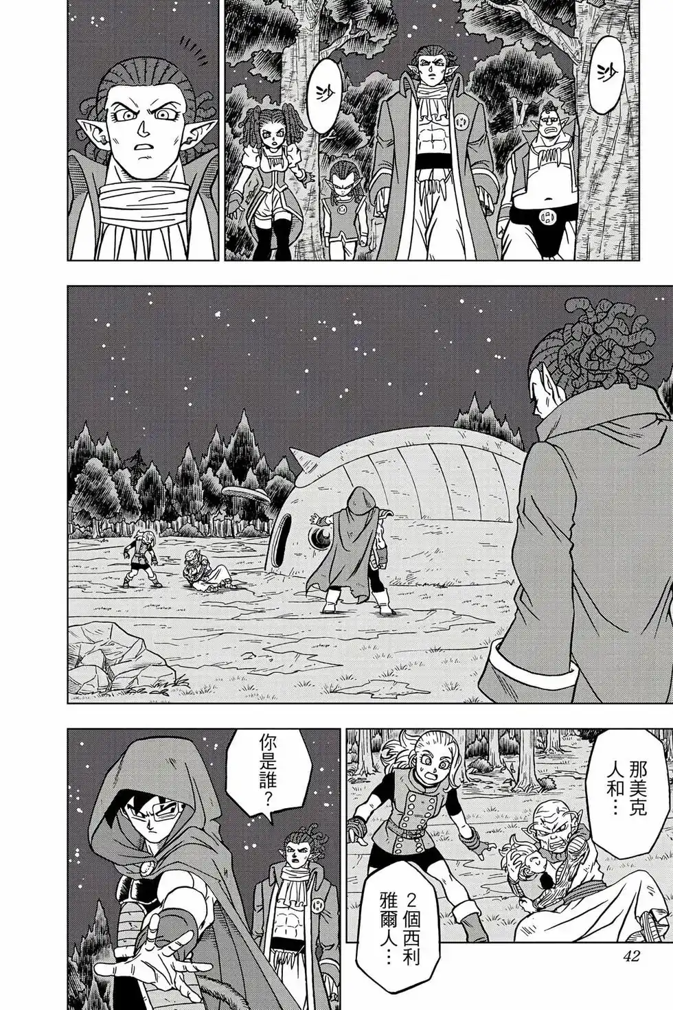 第41页