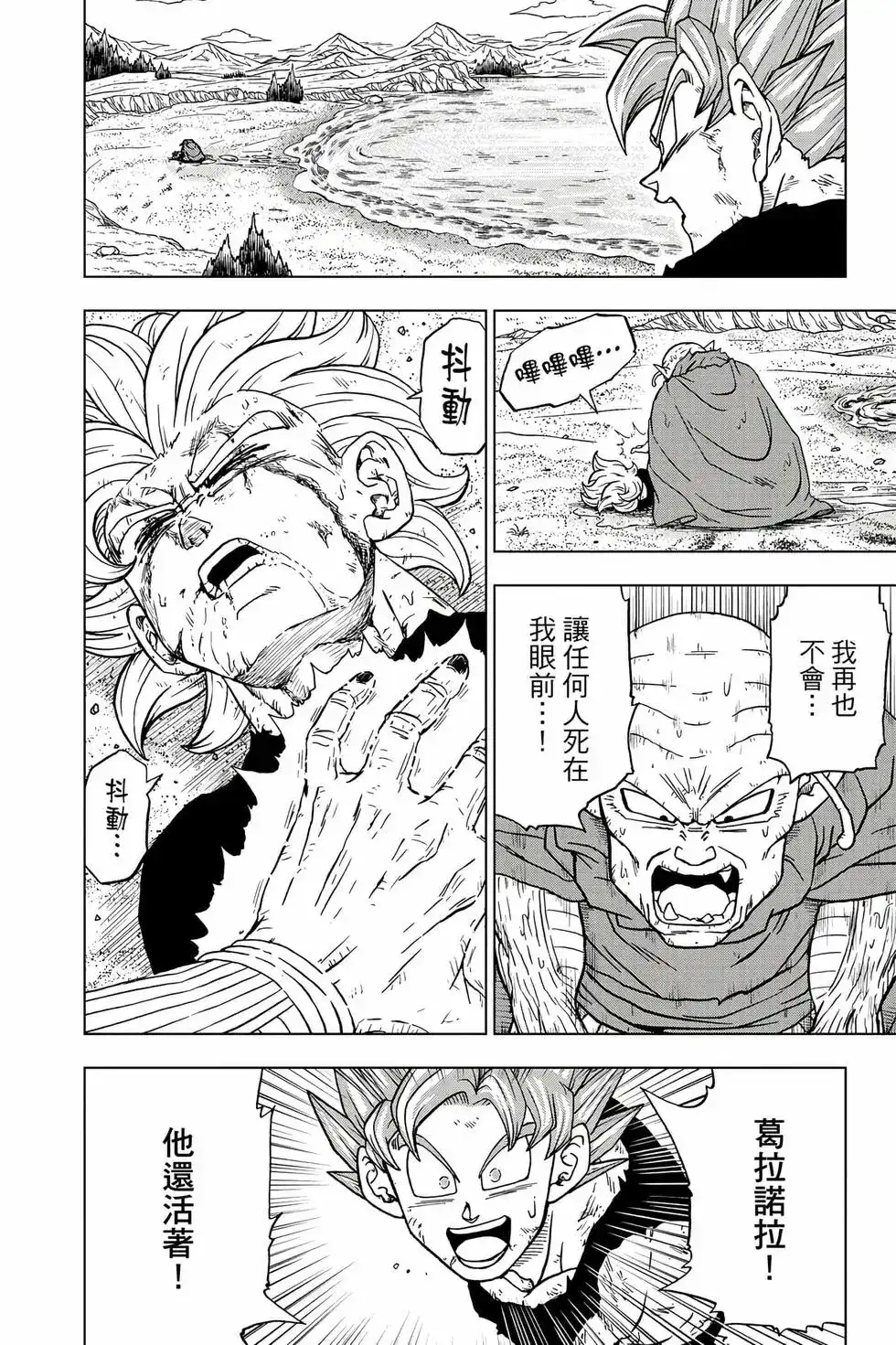 第41页