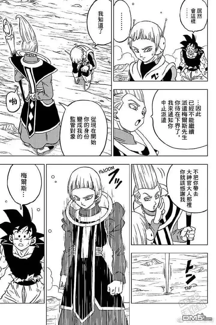 第43页