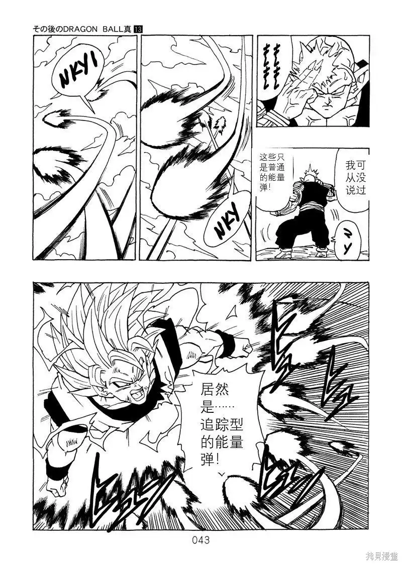 第43页