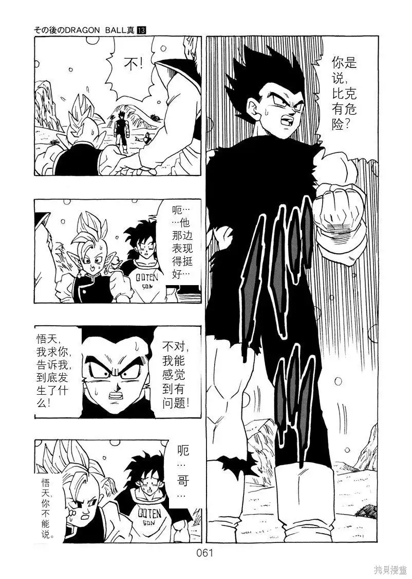第61页