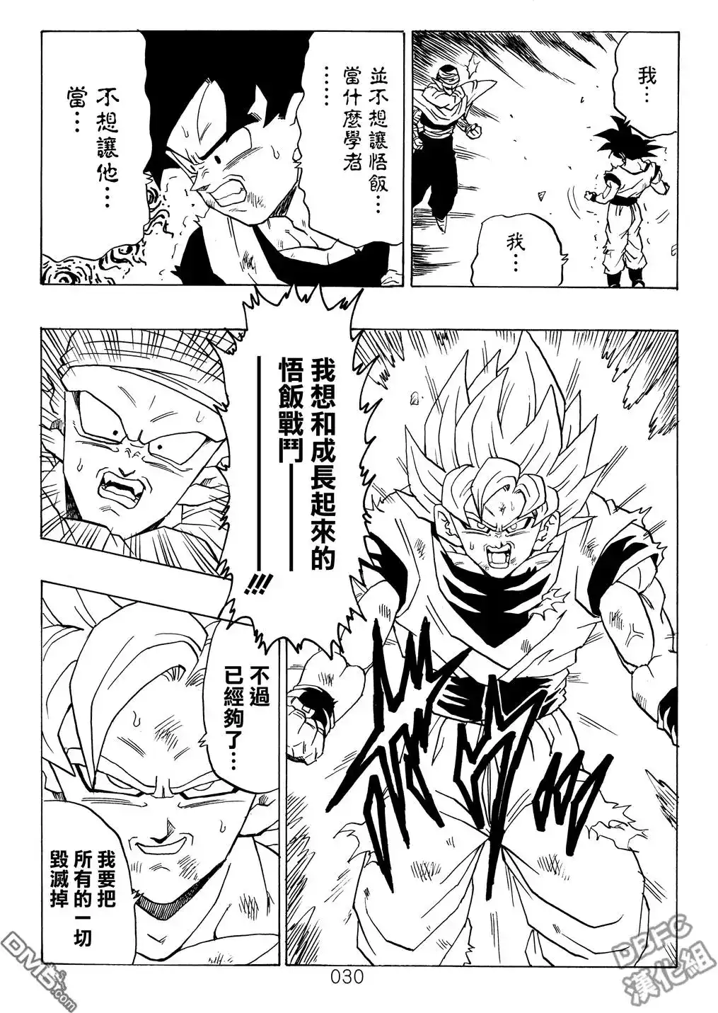 第30页