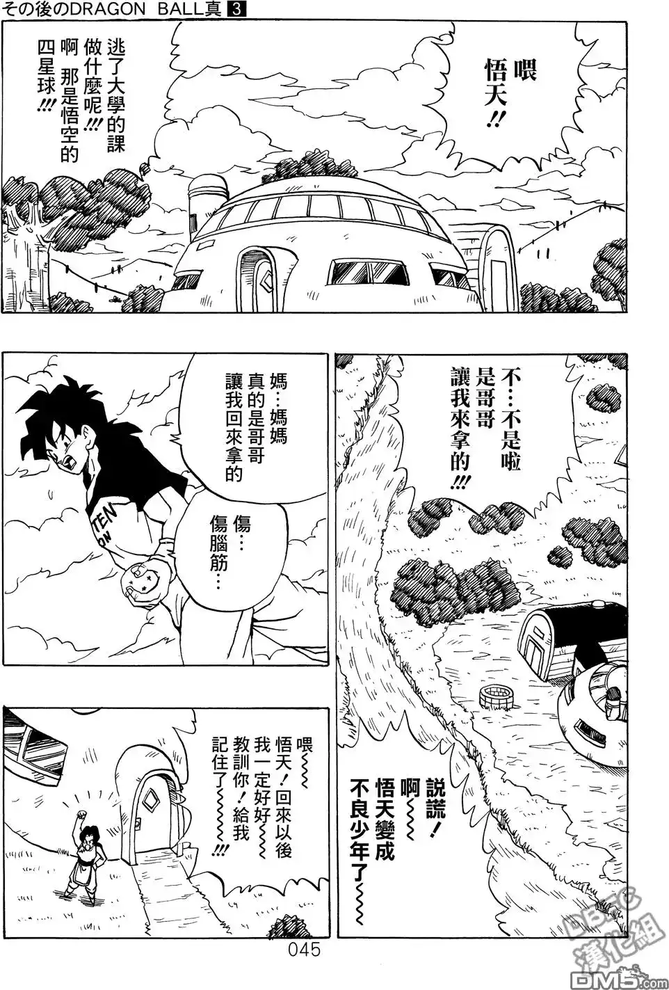 第45页