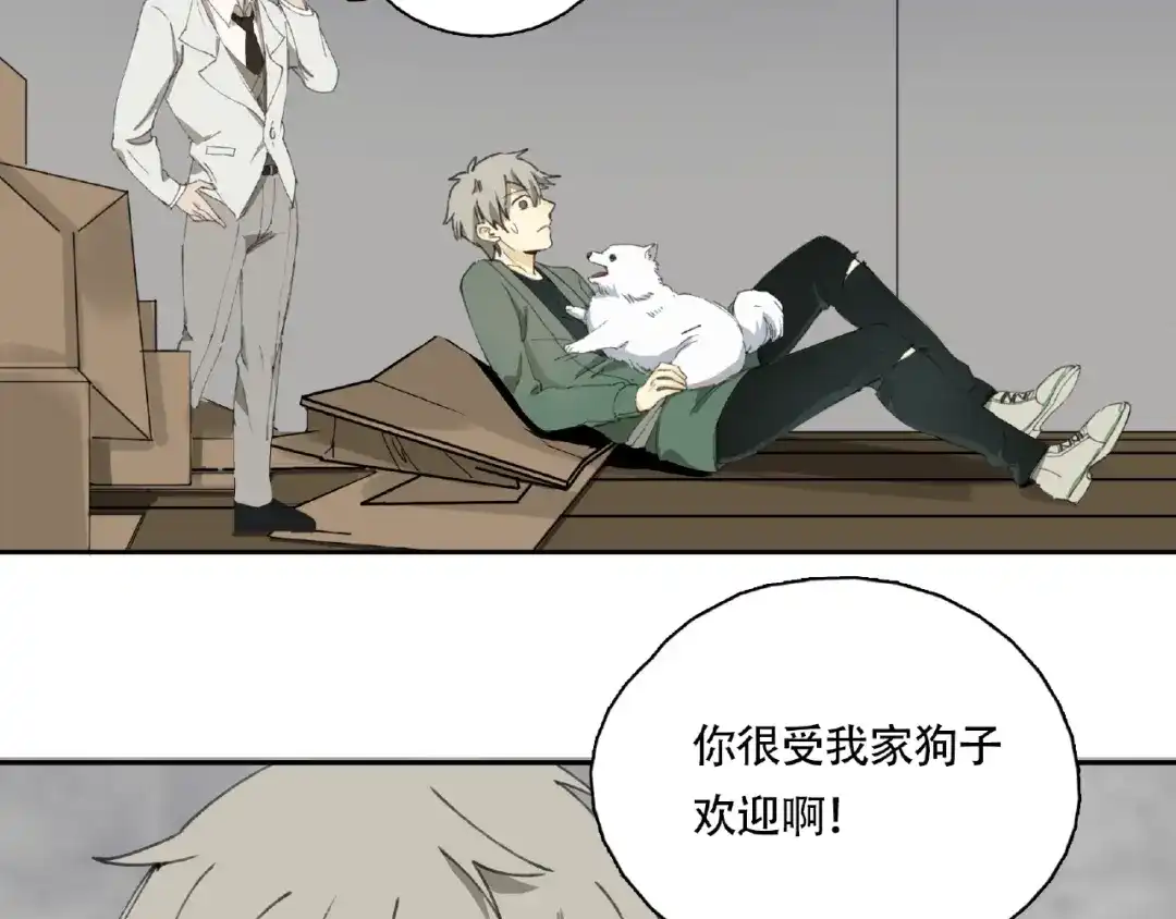 第47页