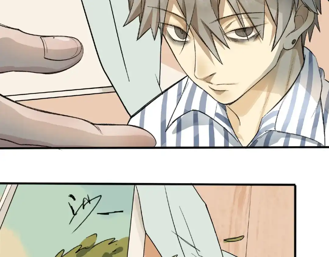 第213页