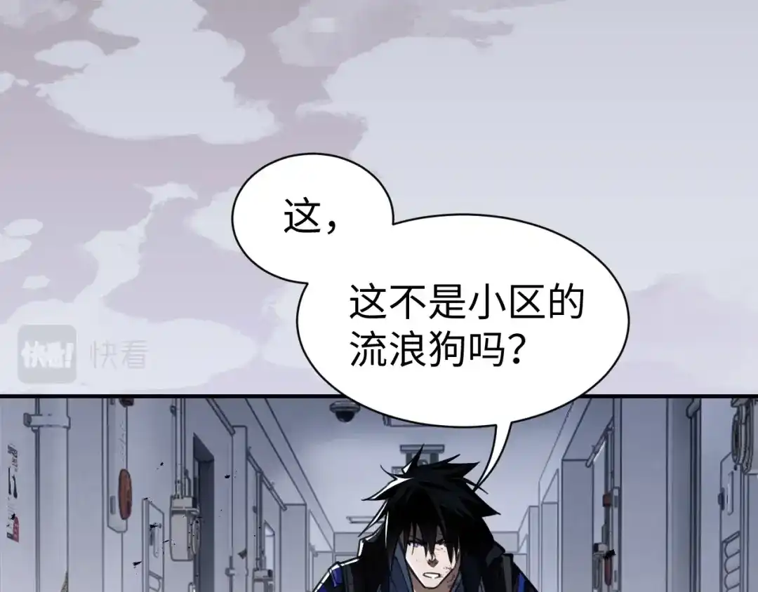 第178页