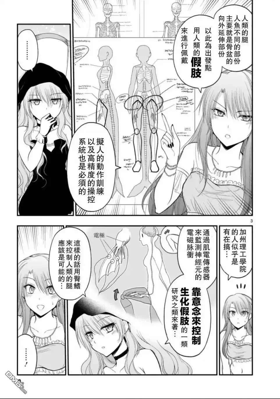 第3页