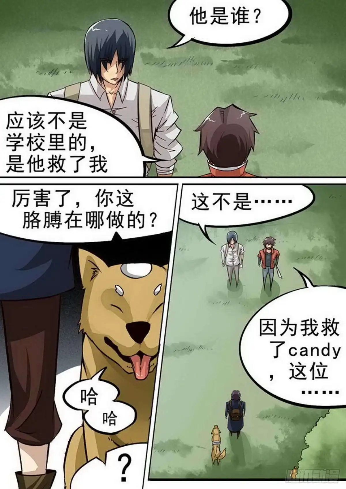 第3页