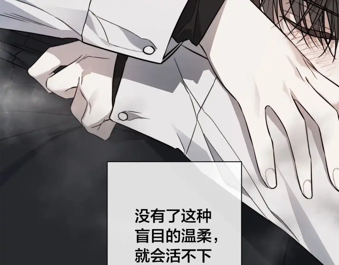 第233页