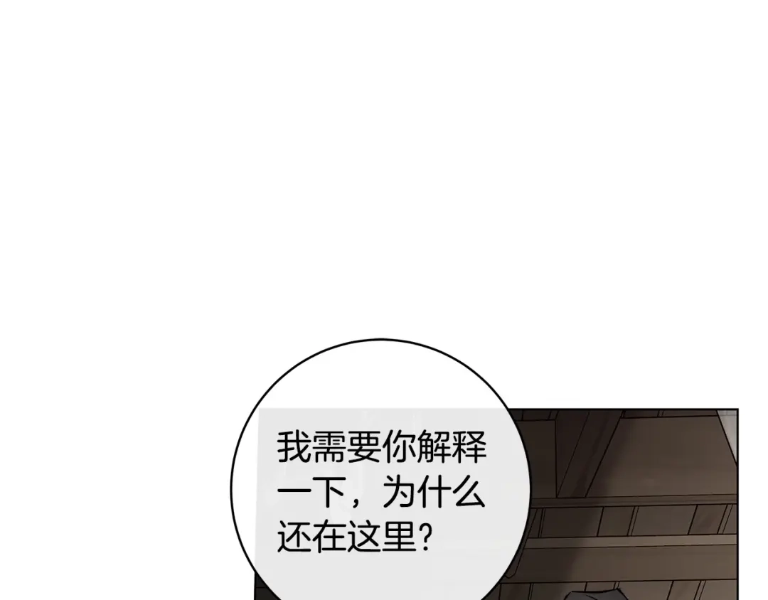 第264页