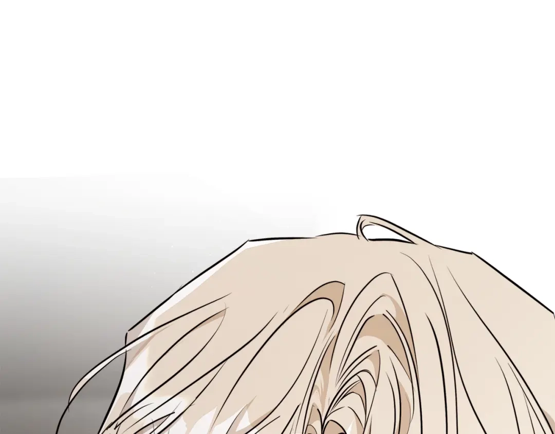 第294页