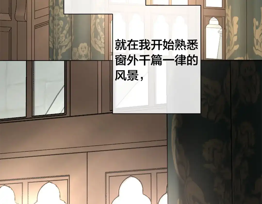 第364页
