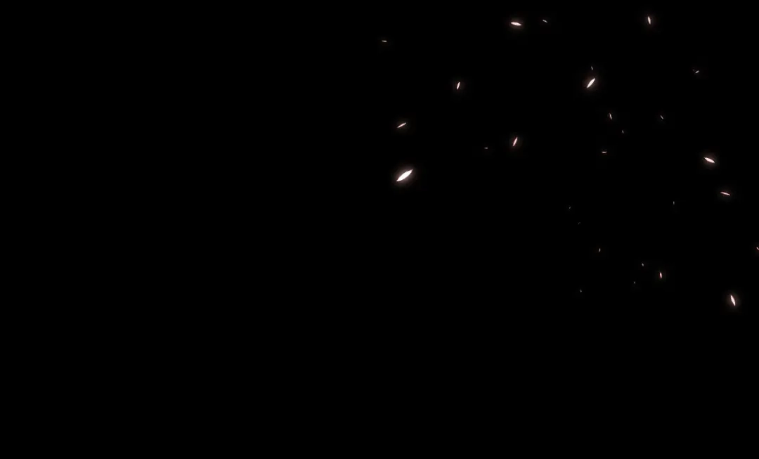 第80页