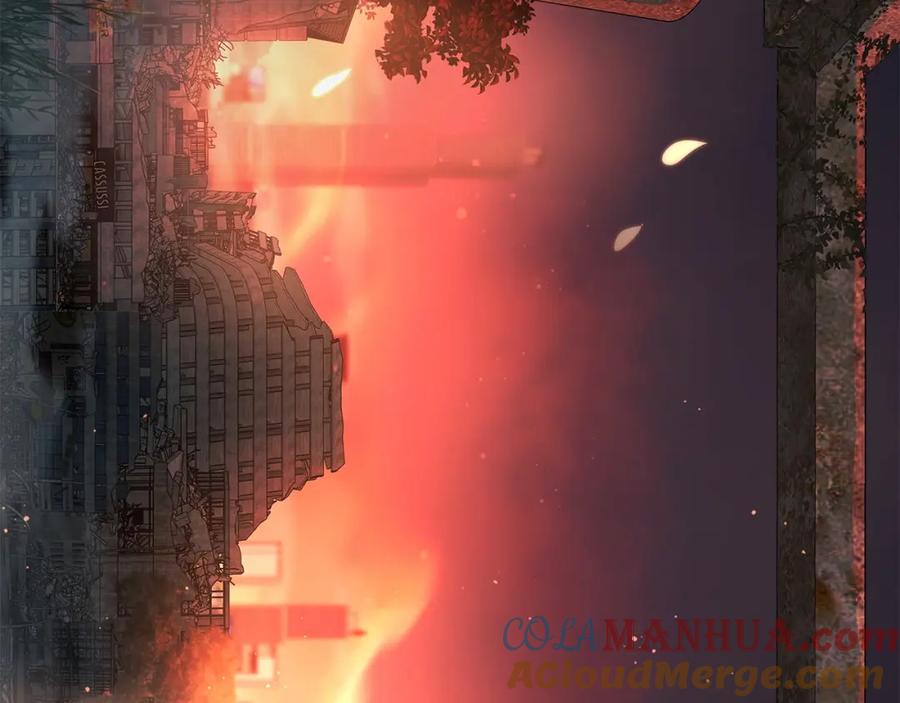 第209页