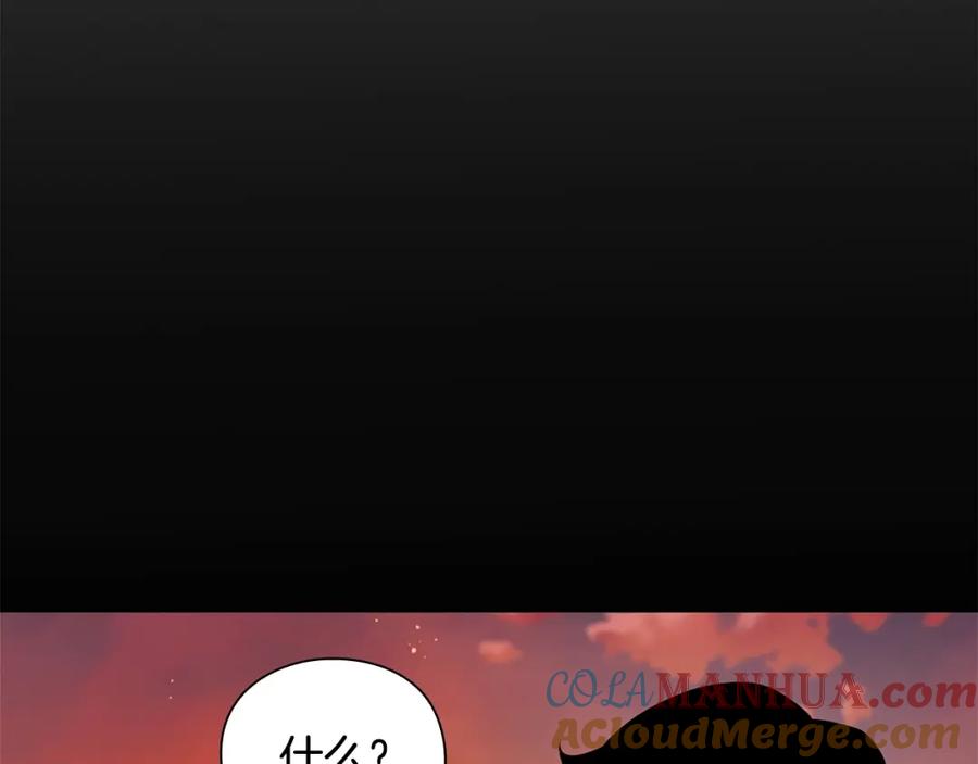 第217页