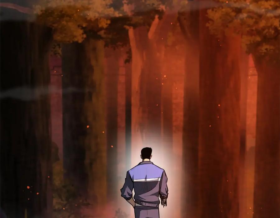 第204页