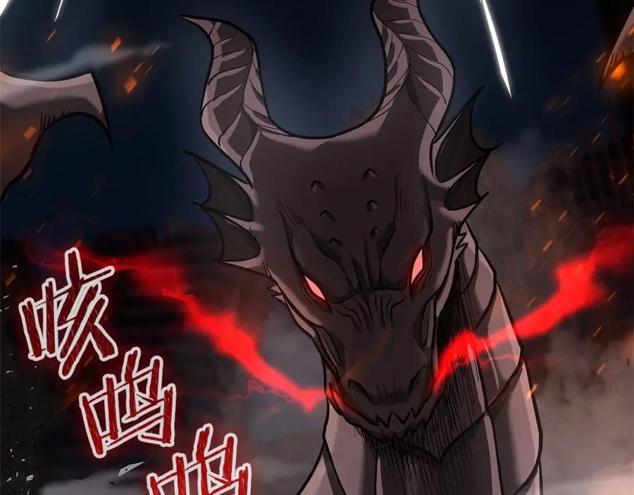第204页