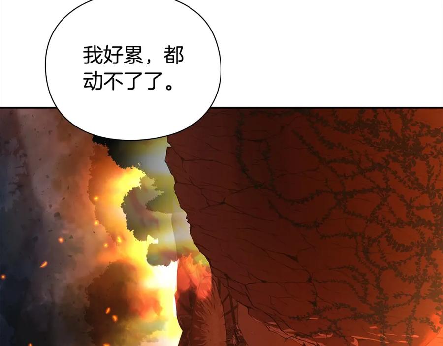 第210页