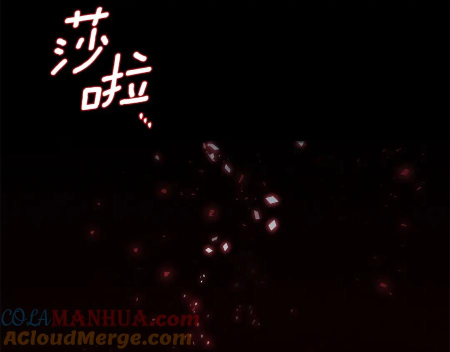 第205页