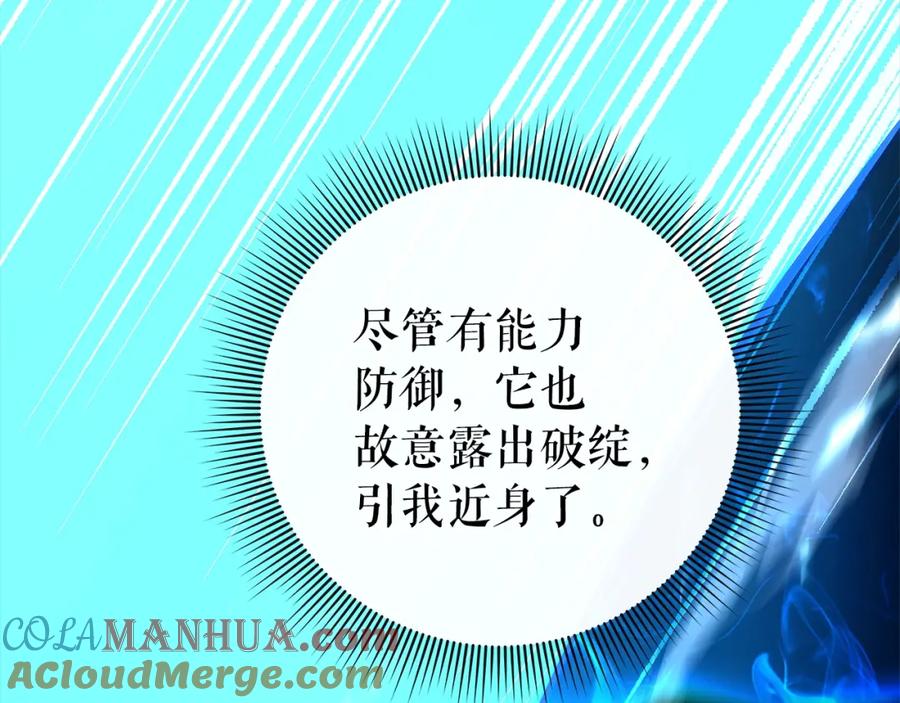第205页