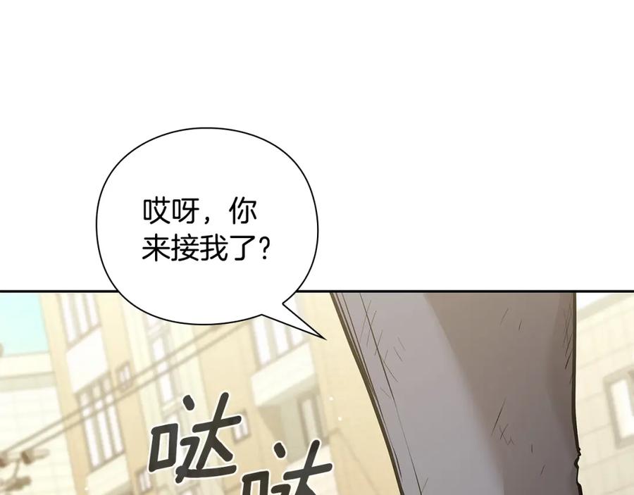 第239页
