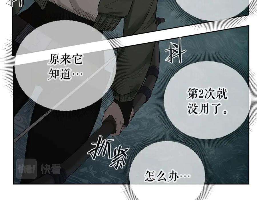 第259页