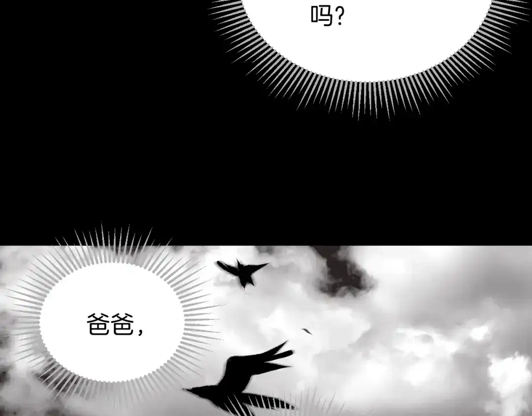 第239页
