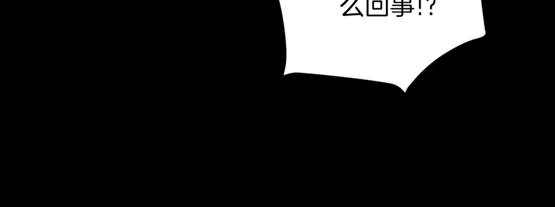 第242页