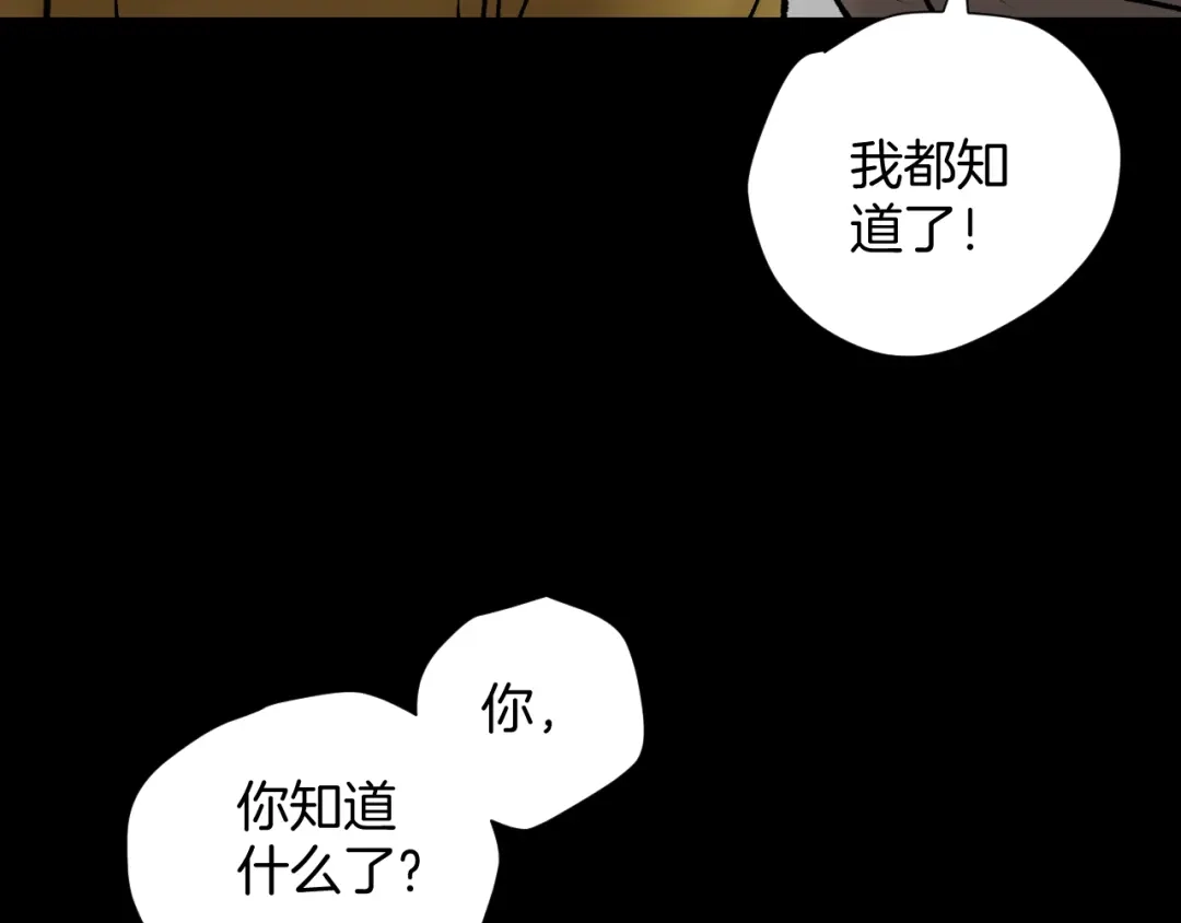 第224页