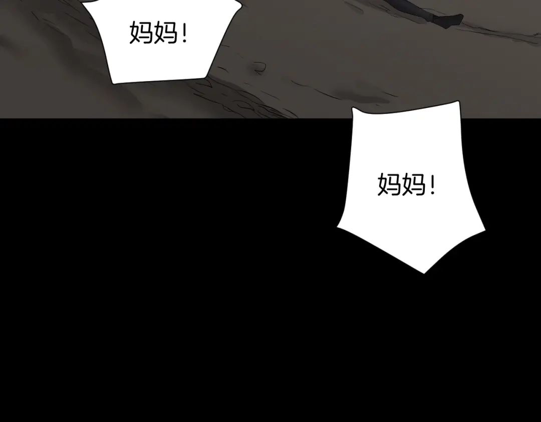 第259页
