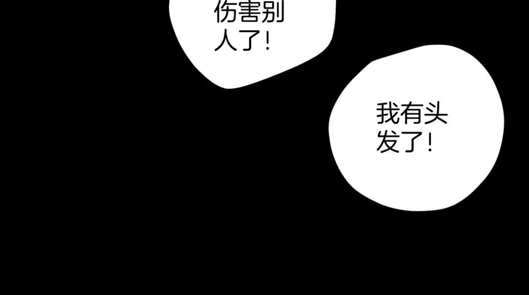 第213页