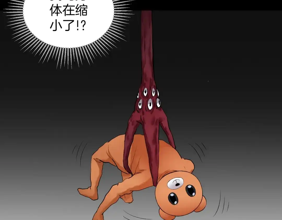 第204页