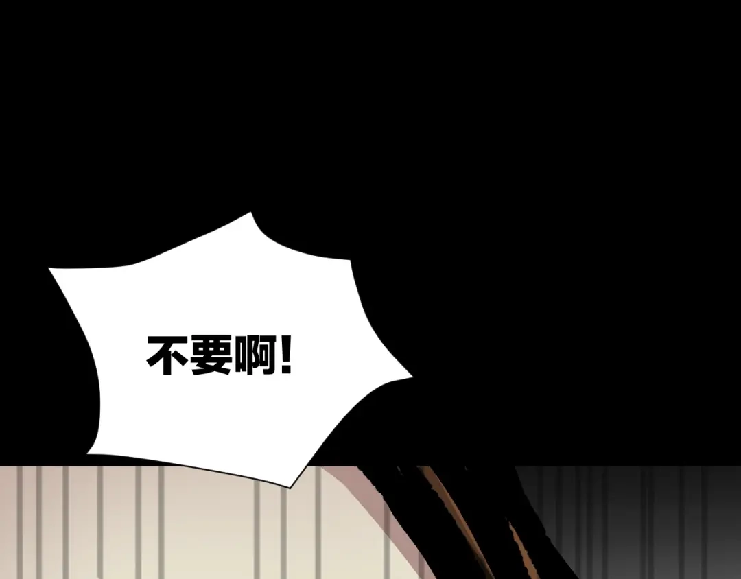 第223页